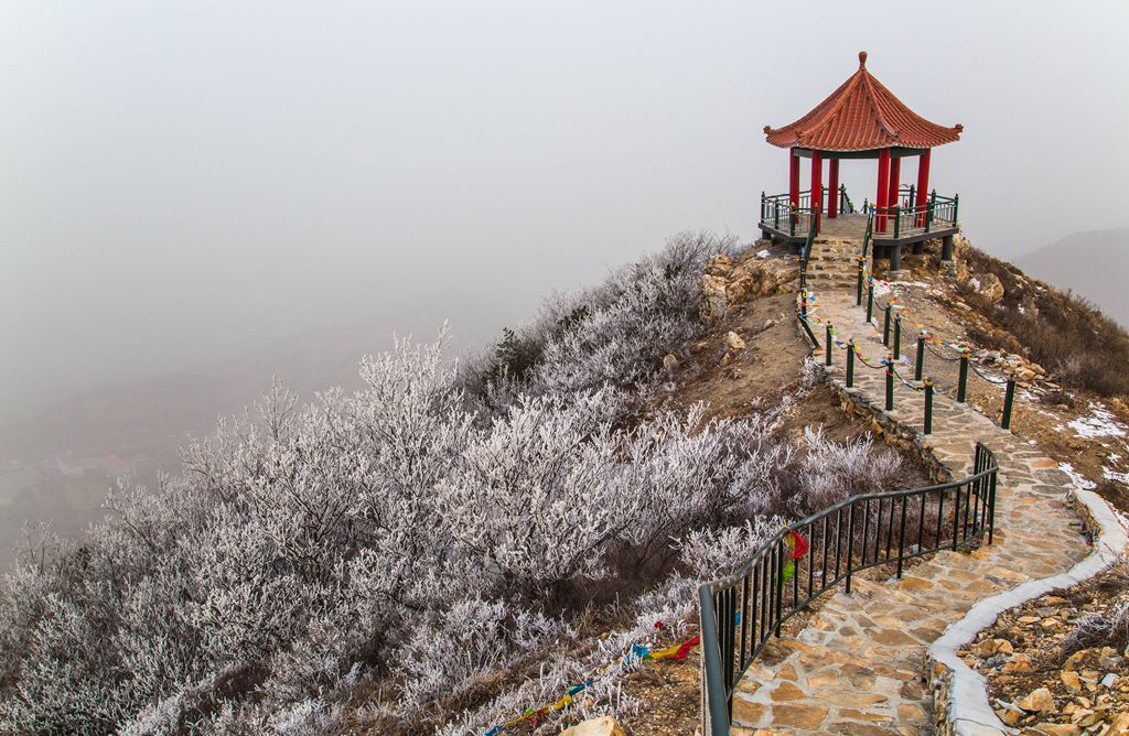 qq3.jpg