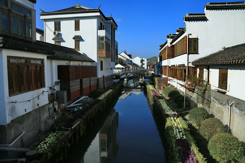 5L9A6238.JPG