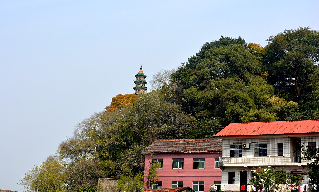 DSC_0110.JPG