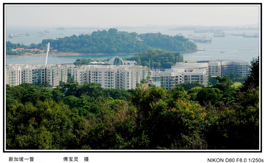 DSC_0350_conew2.jpg