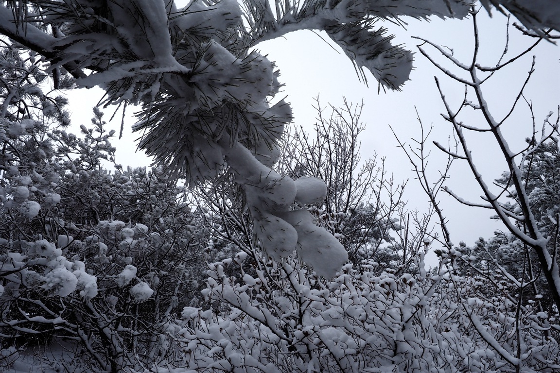 P2252435_副本.jpg