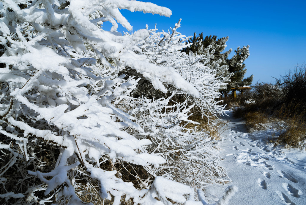 板山雪8_副本.jpg