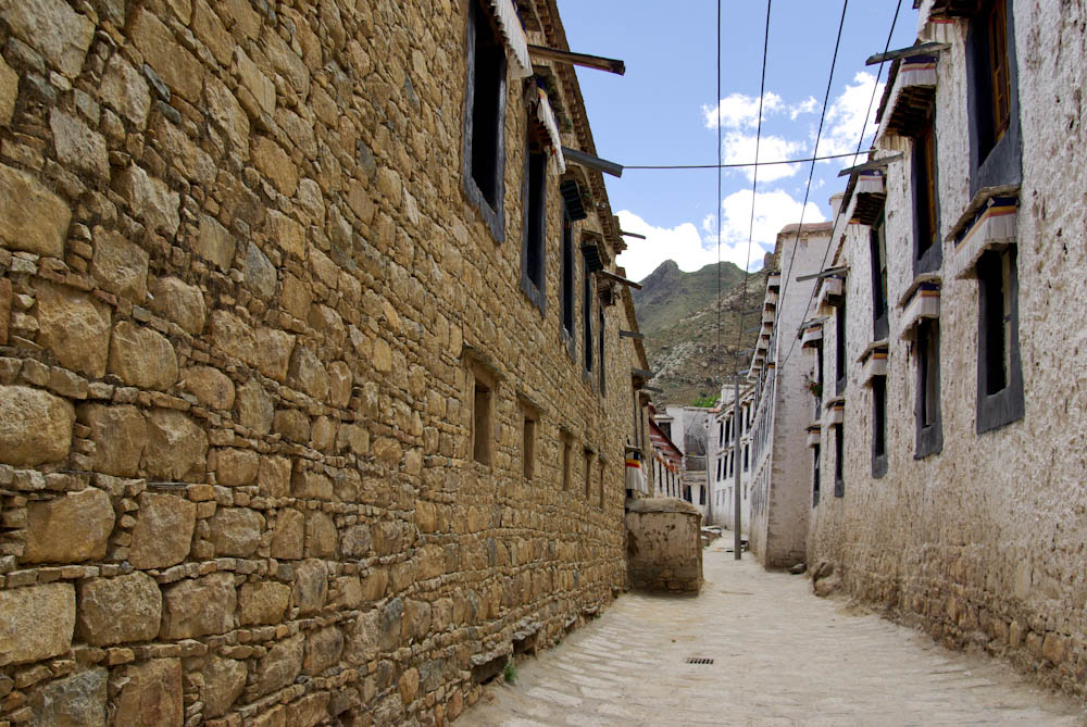 IMGP1264.jpg