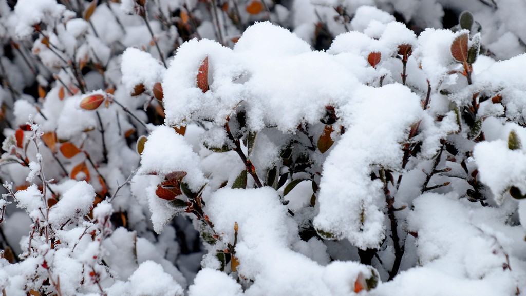 雾雪中的南苑广场-6.JPG