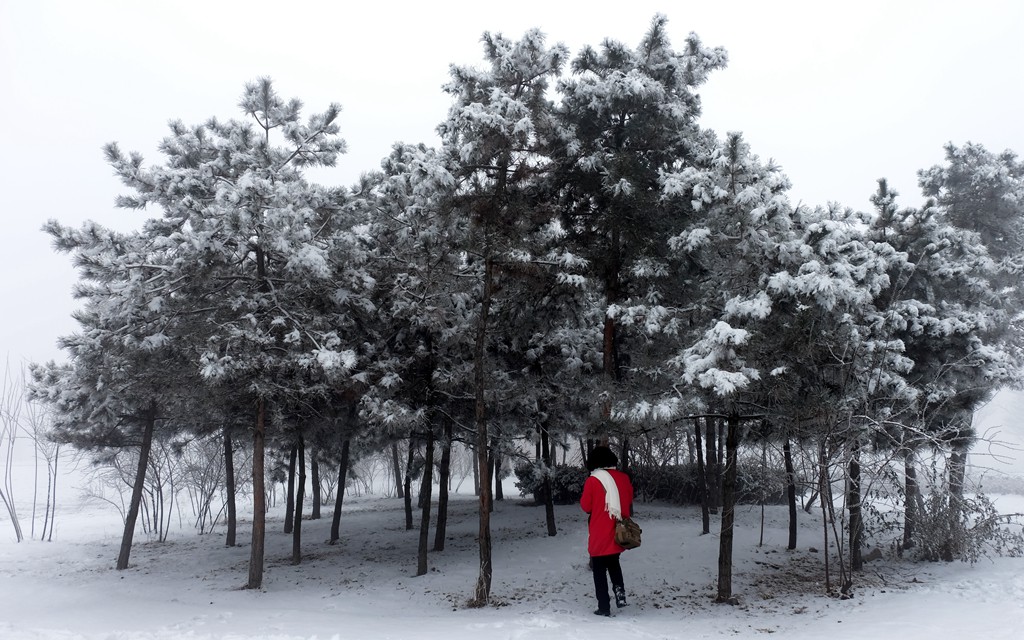 雾雪中的南苑广场-10.JPG