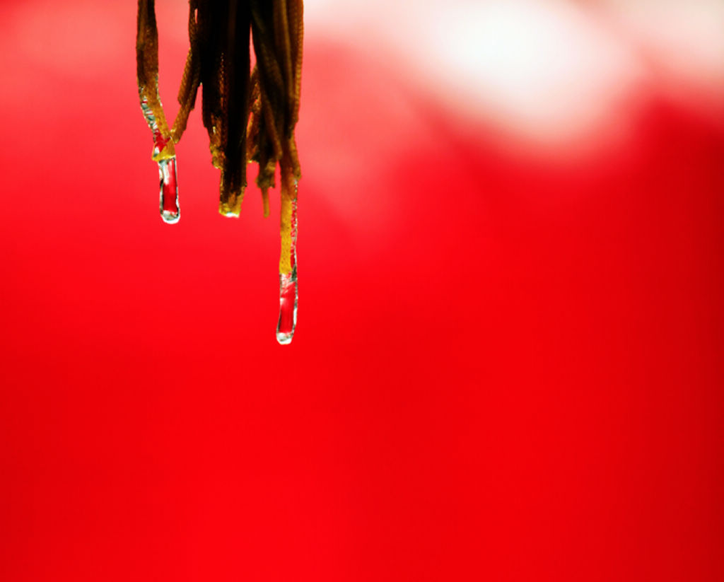 _MG_7802.JPG