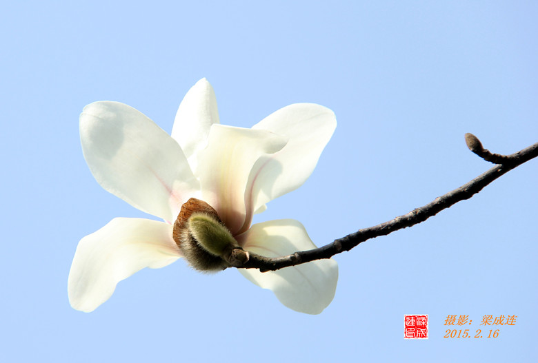 IMG_8593_副本.jpg