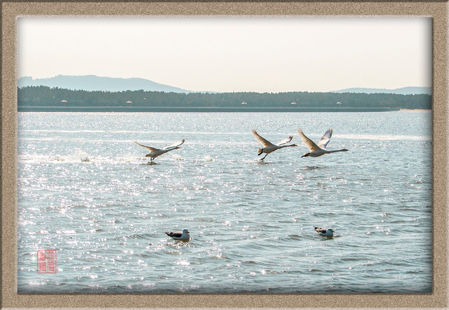 DSC_0487.jpg