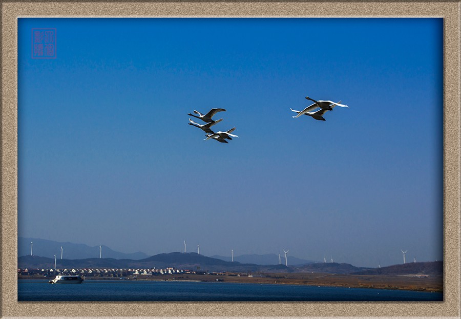 DSC_1166.jpg