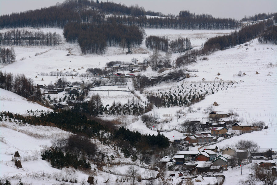 DSC_7188_副本_副本.JPG