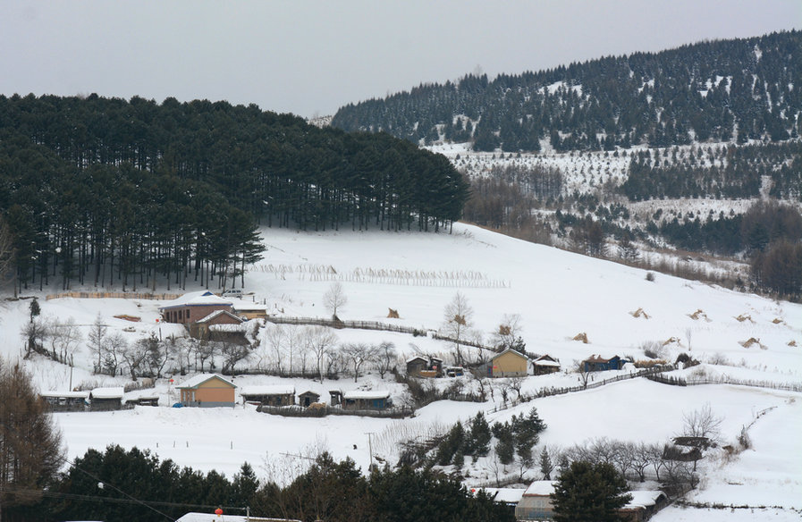 DSC_7117_副本_副本.JPG