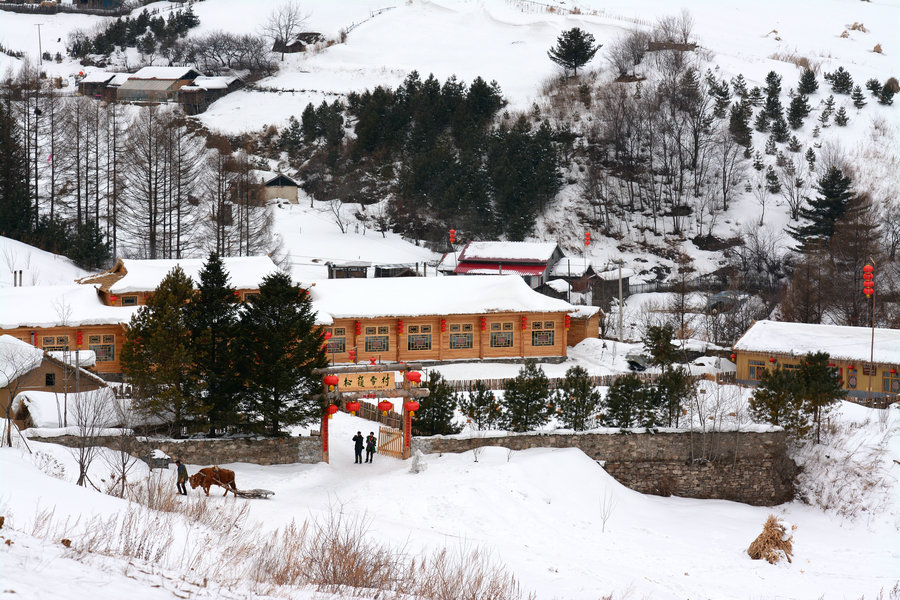 DSC_7153_副本_副本.JPG