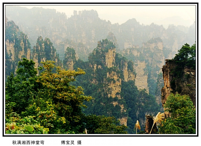 img218_conew4.jpg
