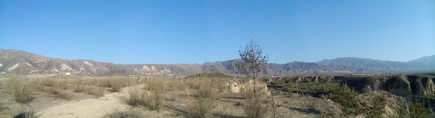 IMG_20141220_143752.jpg