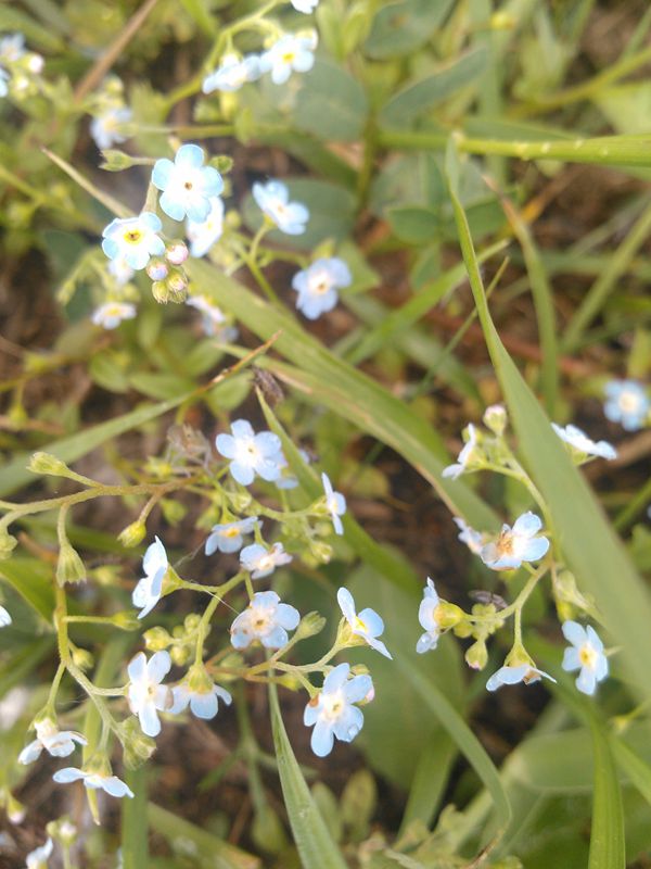 IMG20130706185026_副本.jpg