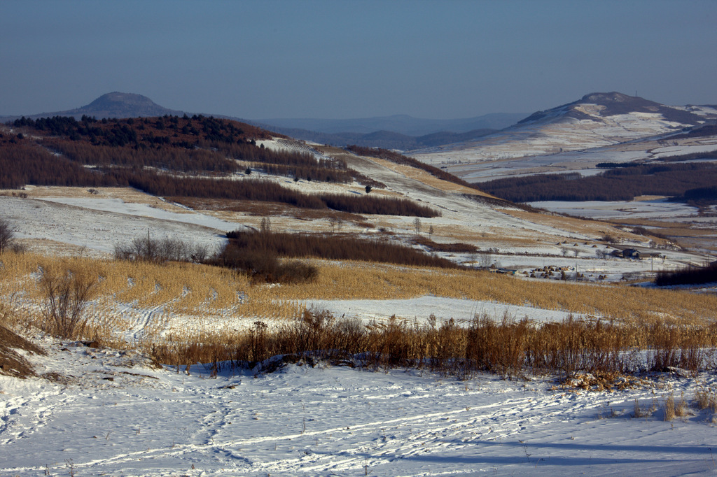IMG_3277.CR2.jpg