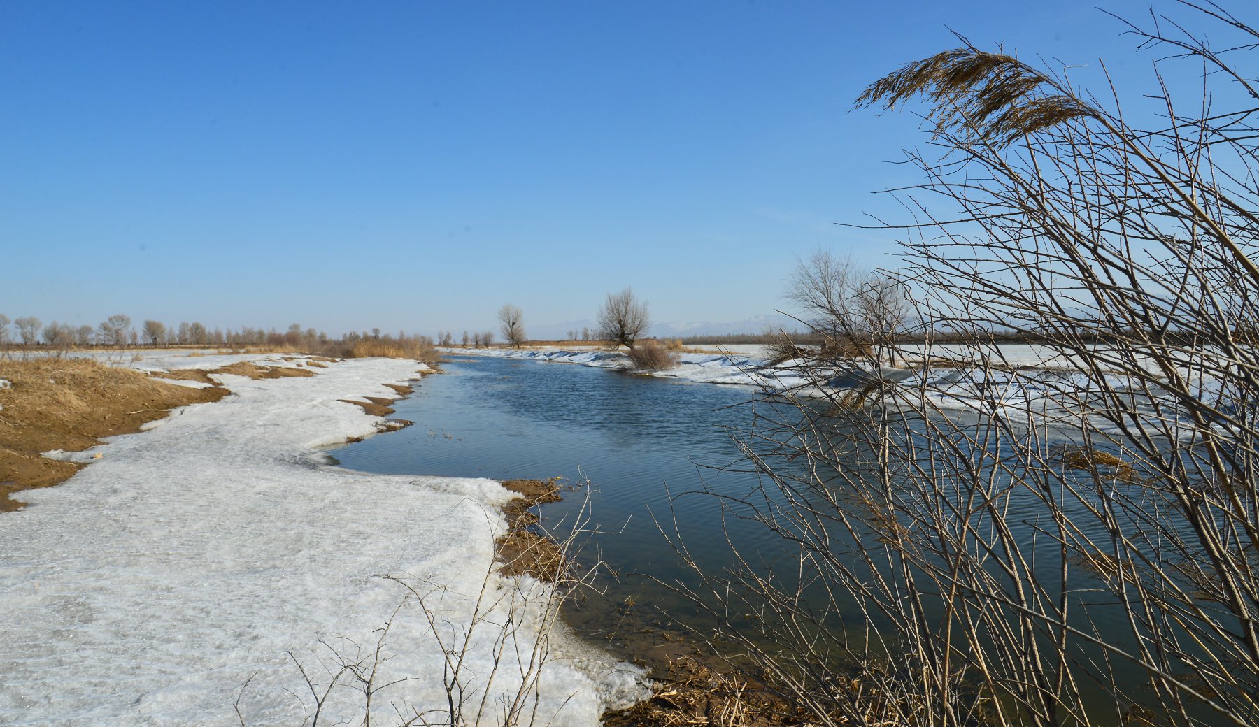 DSC_4592副本.jpg