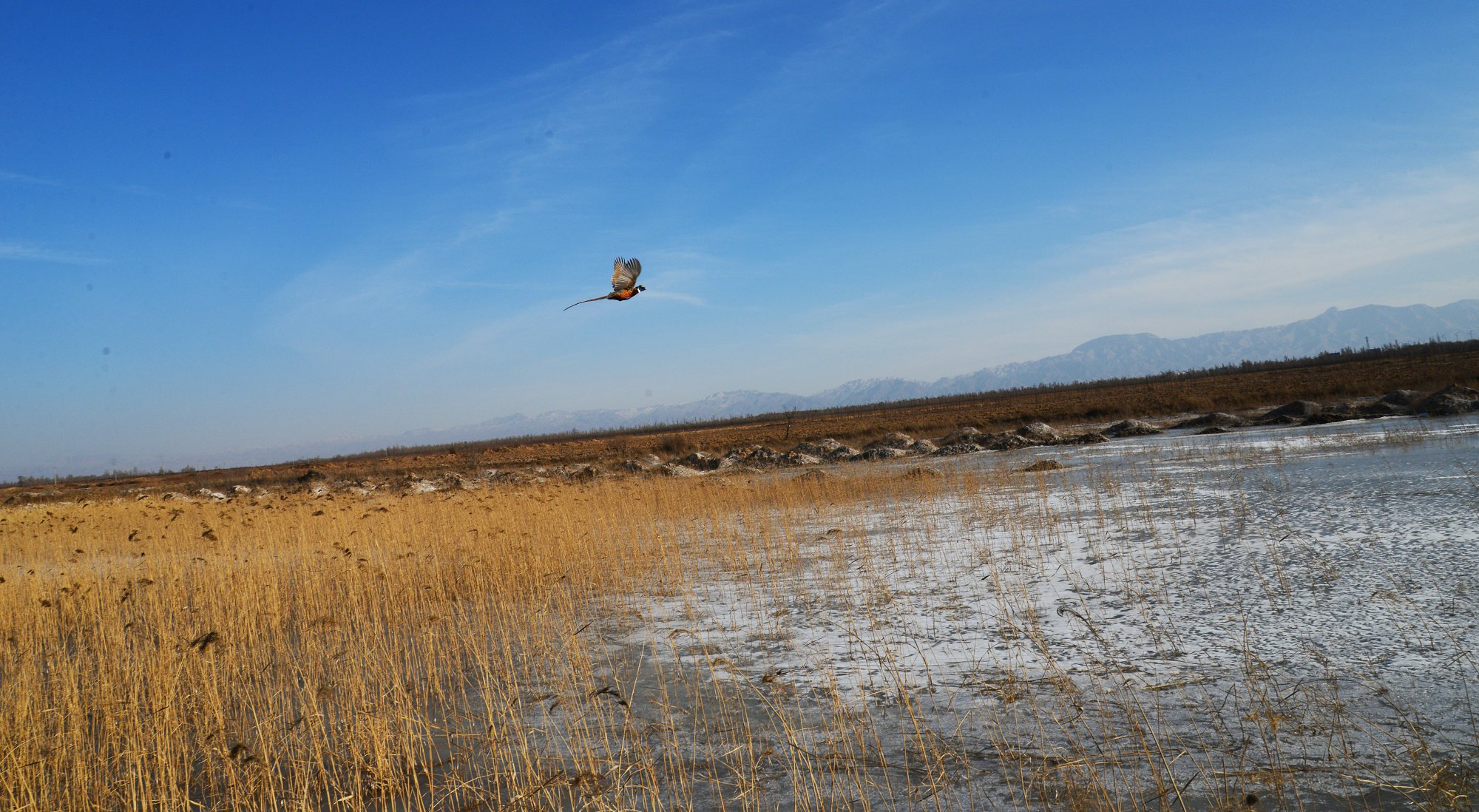DSC_4675副本.jpg