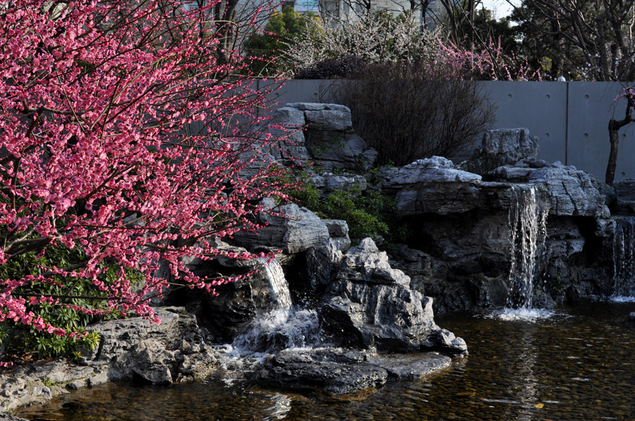 DSC_0758副本.jpg