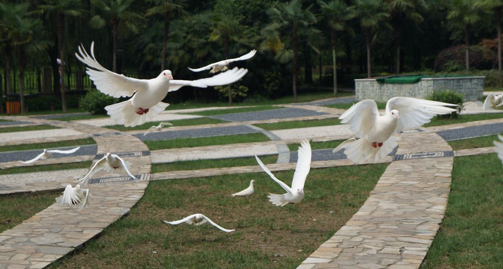 DSC00144_副本.jpg