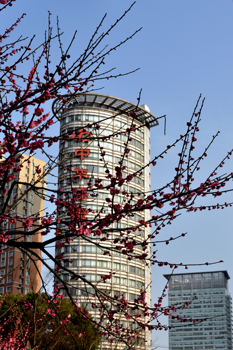 DSC_0747副本.jpg