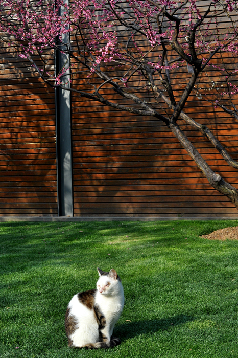 DSC_0753副本.jpg
