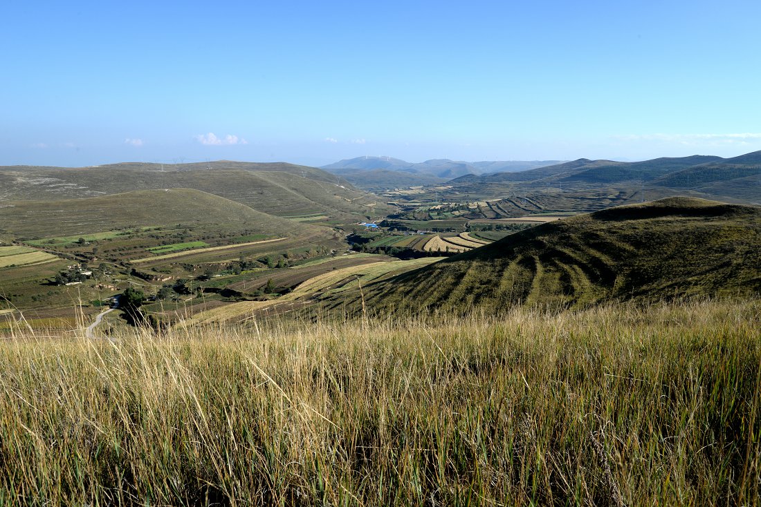 DSC_1369.JPG