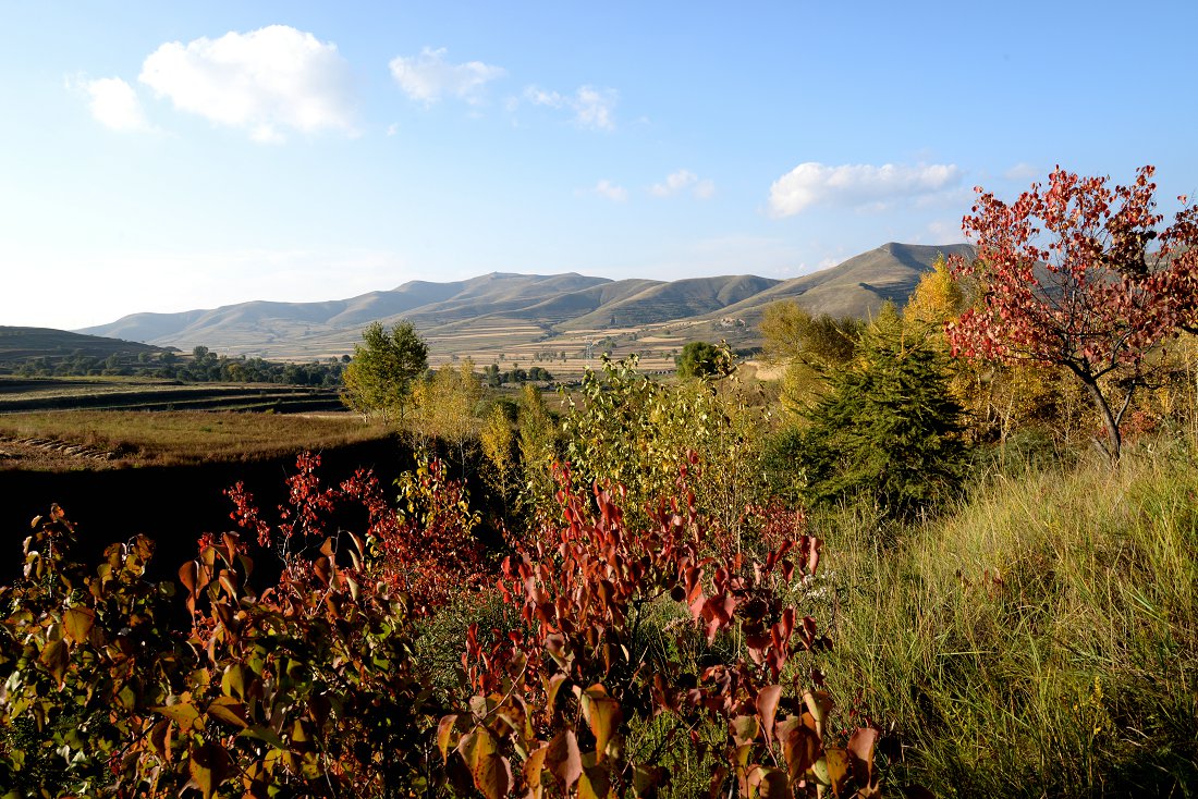DSC_1392.JPG