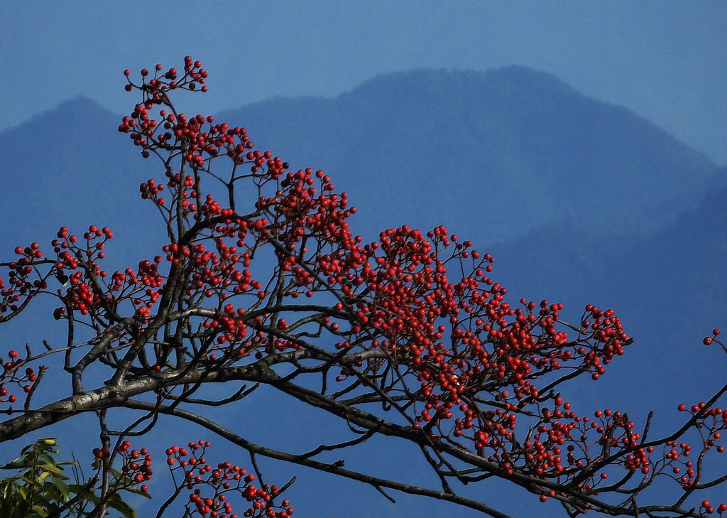 DSCF5571.JPG