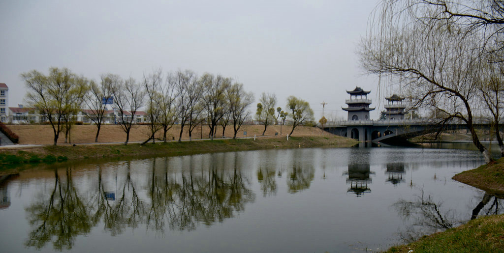 DSC_3995.jpg
