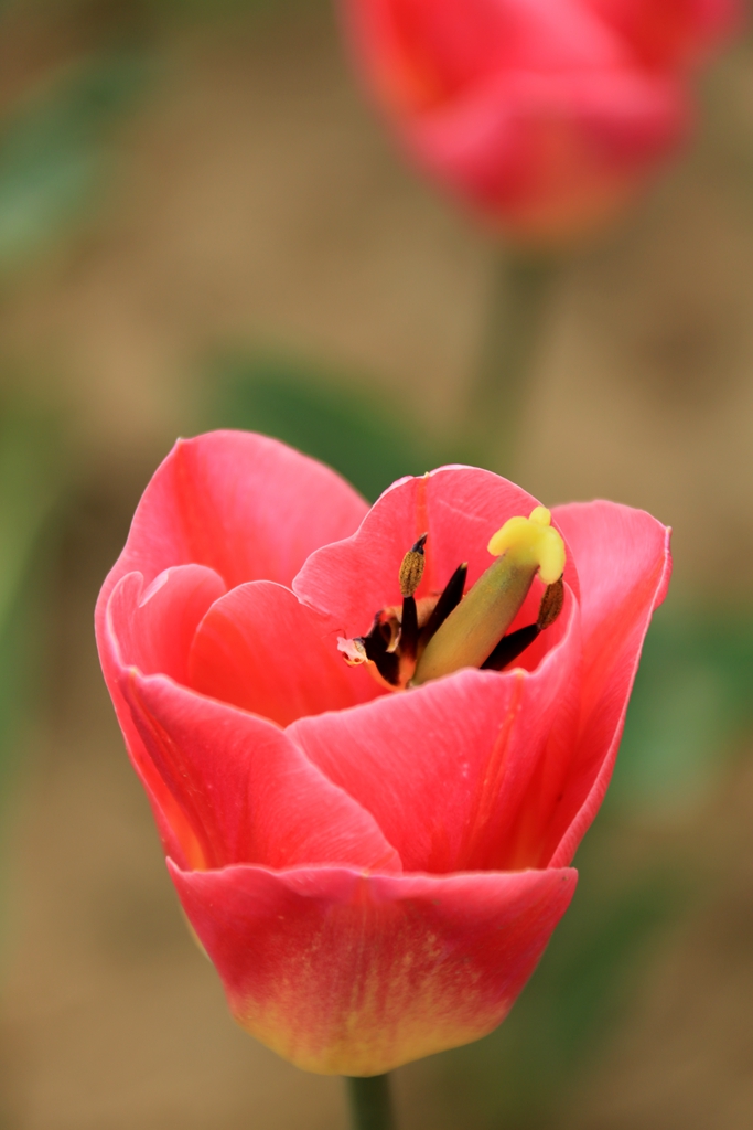 160A3955.jpg