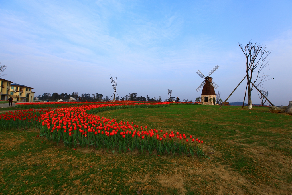 IMG_1531.jpg