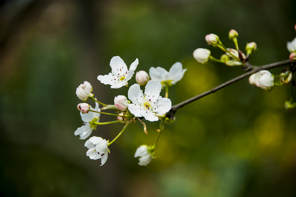DSC_5697-f.jpg