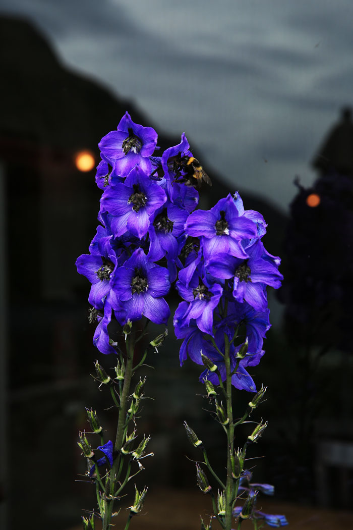 AE4A6776.jpg