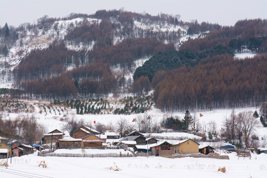 DSC_7078_副本_副本.jpg