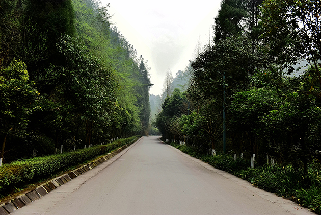 09.jpg