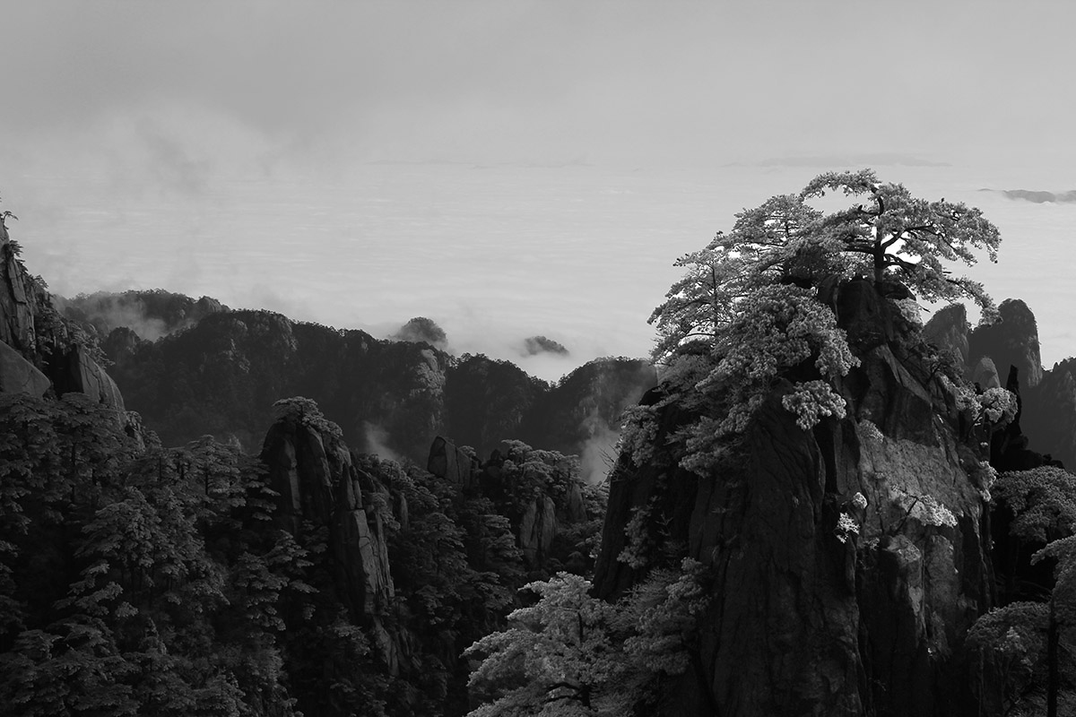黄山002.jpg
