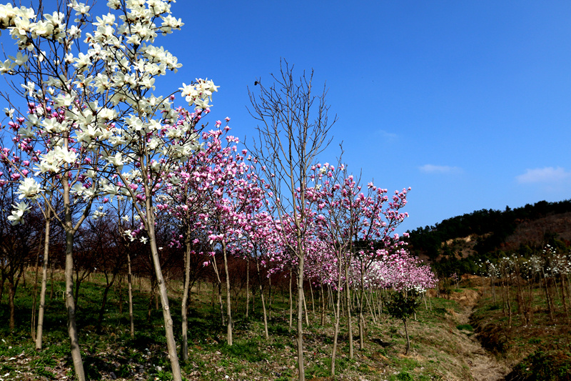 IMG_5943_副本.jpg