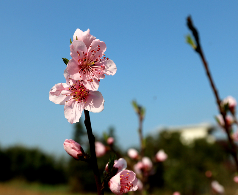 IMG_5901_副本.jpg
