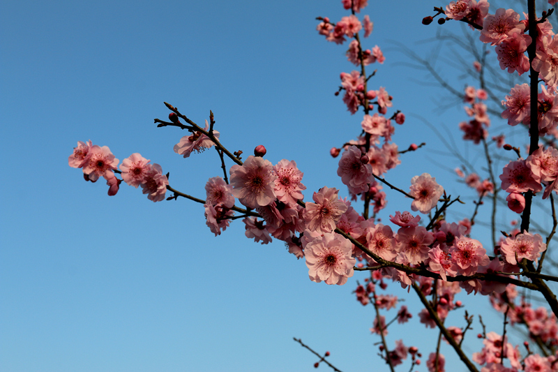 IMG_6102_副本.jpg
