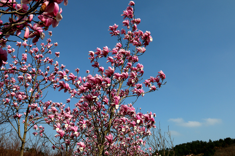 IMG_5948_副本.jpg
