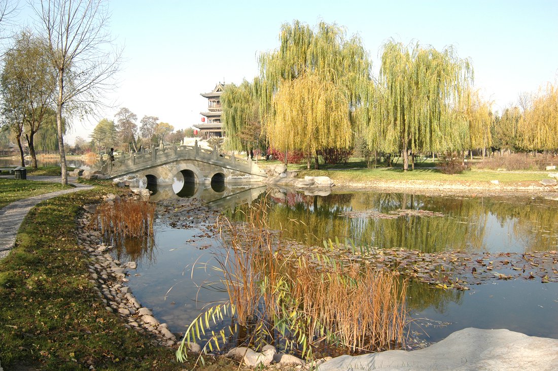 DSC_0202.JPG