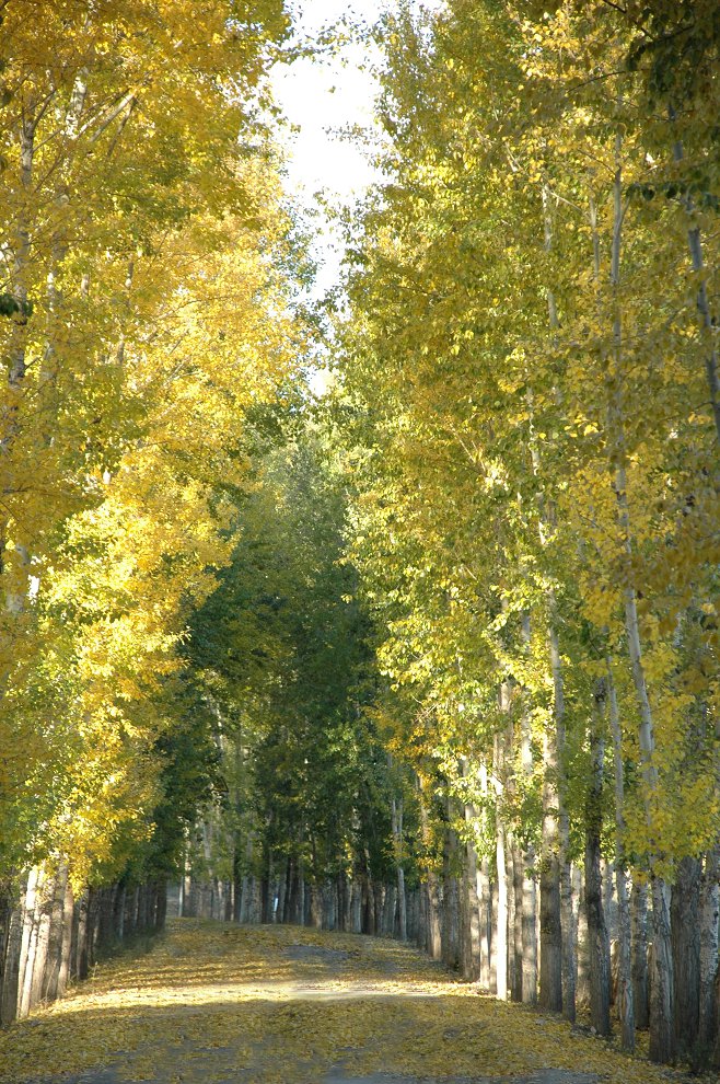 DSC_806.JPG