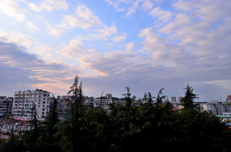 DSC_0442.jpg