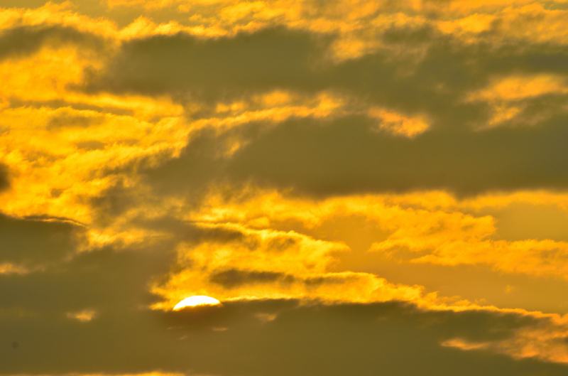 DSC_0474.jpg