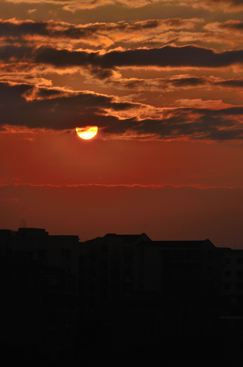 DSC_0480.jpg