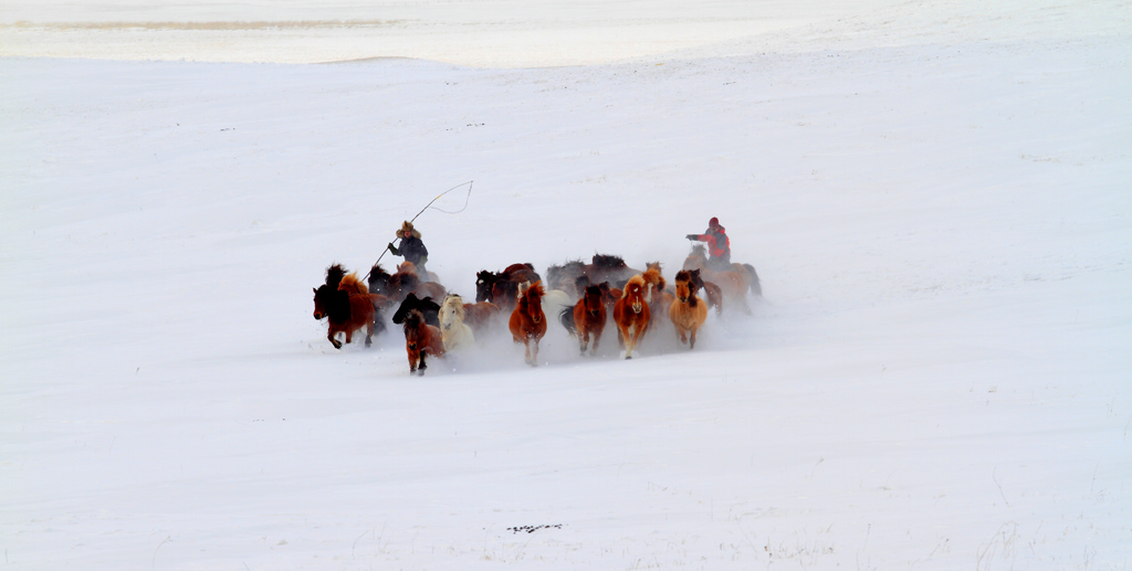 _MG_7940.JPG