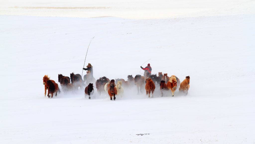 _MG_7943.JPG