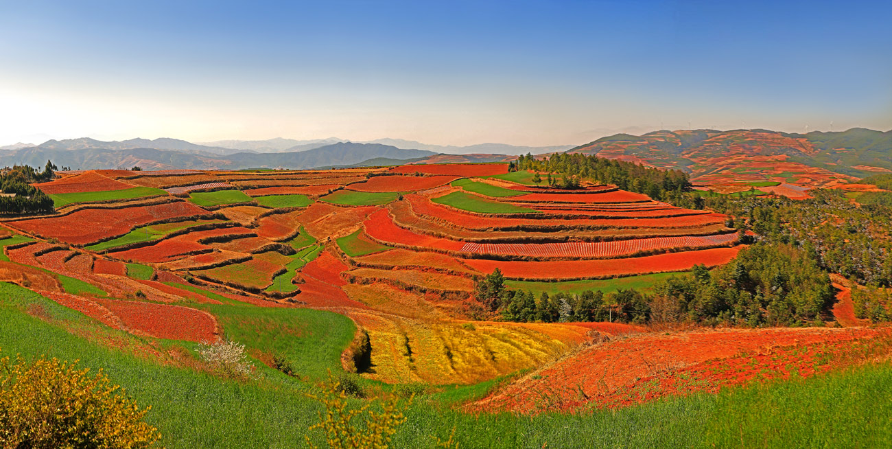 未标题_全景图1.jpg