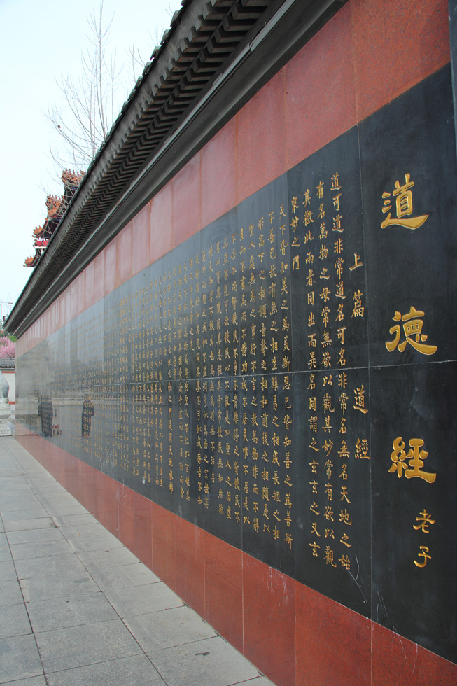 DPP_0005_副本.jpg